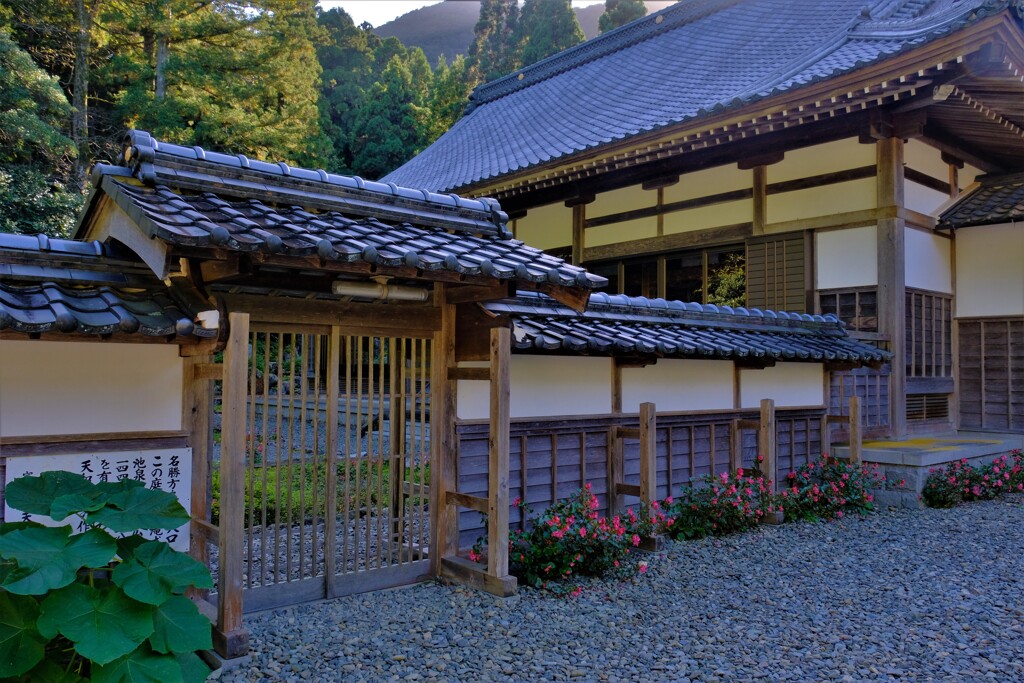 若狭　天徳寺　Ⅲ