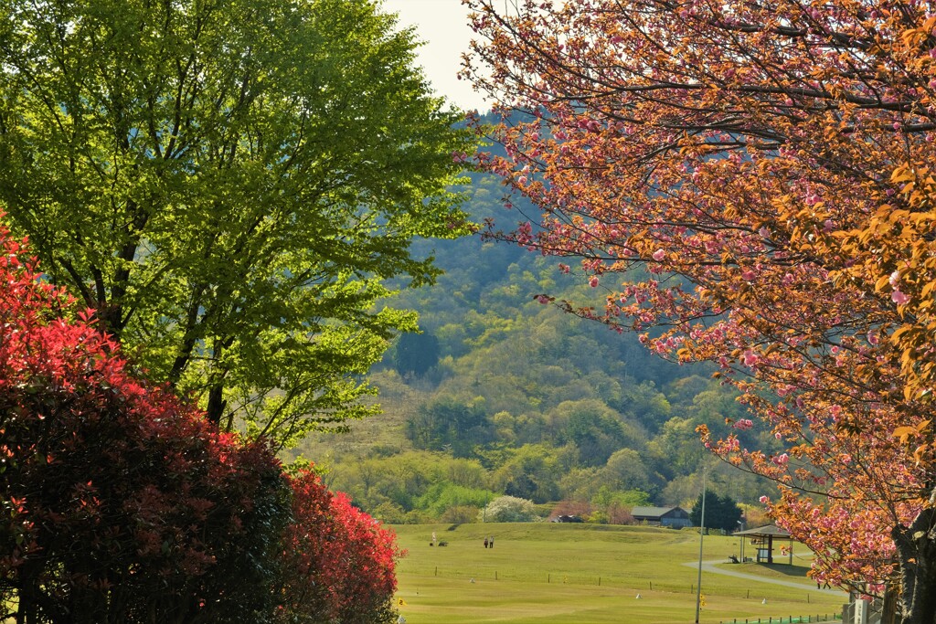 里山の晩春