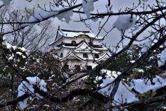 彦根城天守閣雪景