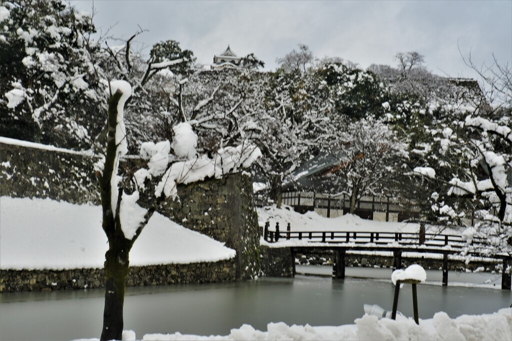 彦根城雪景色