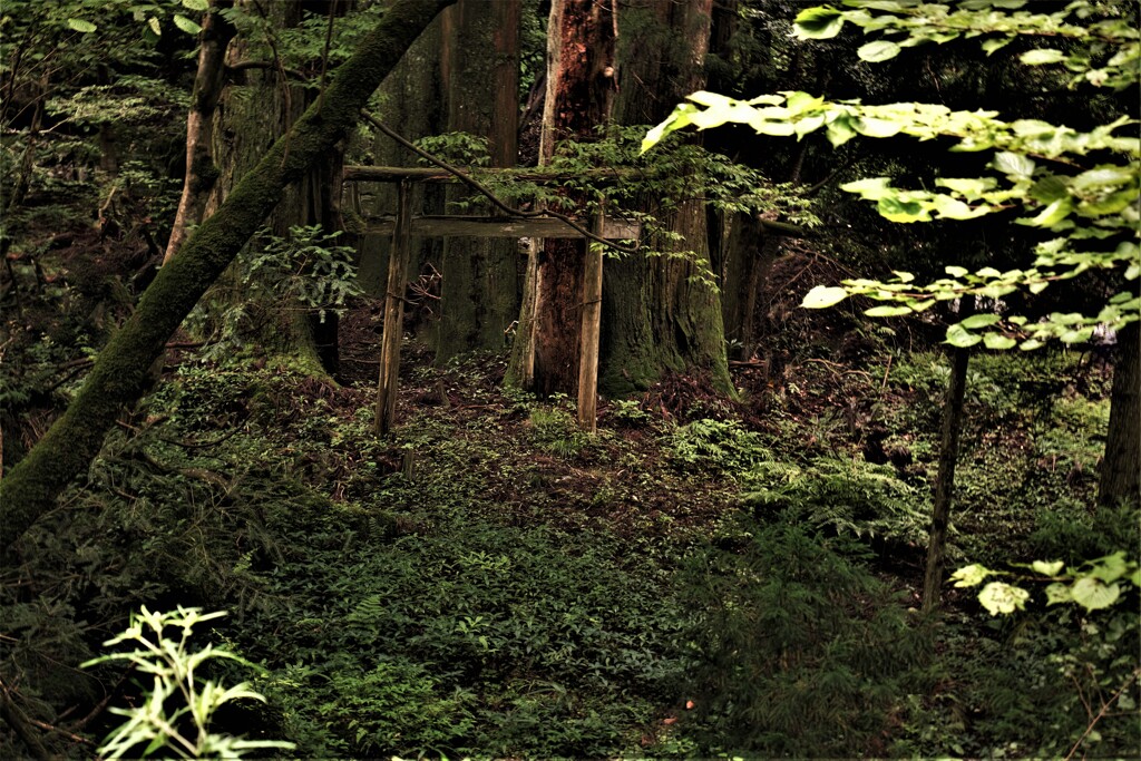 山辺の鳥居