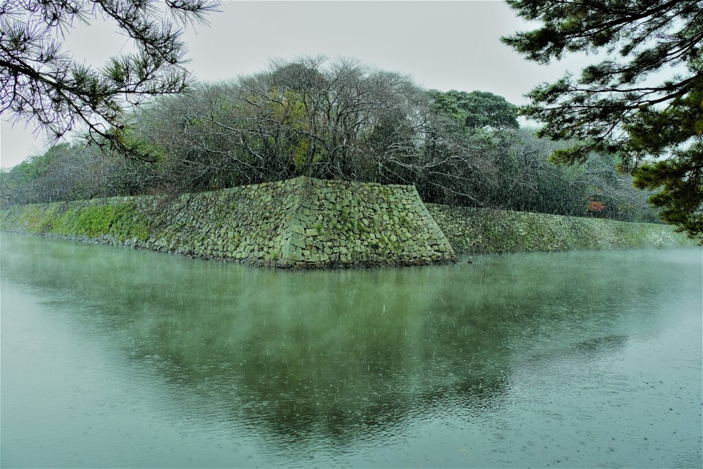 彦根城濠端寸景　Ⅱ