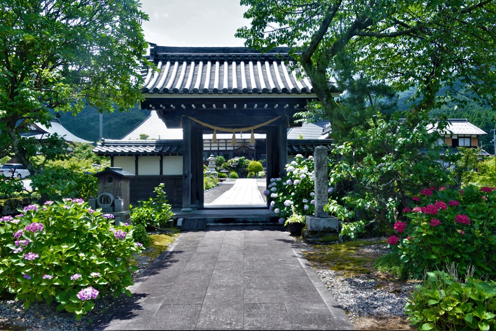 全長寺あじさい山門