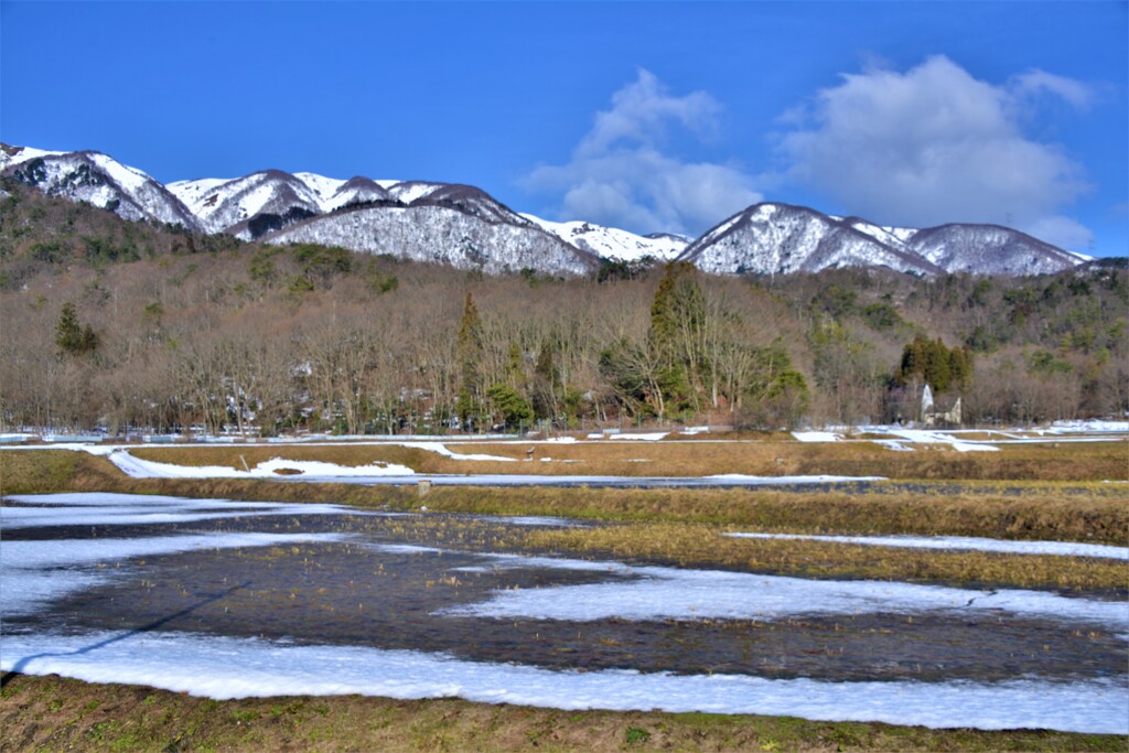 里山春恋　２-２