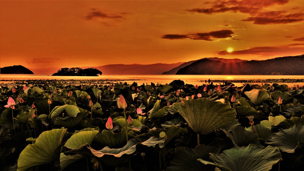 夏夕景　１