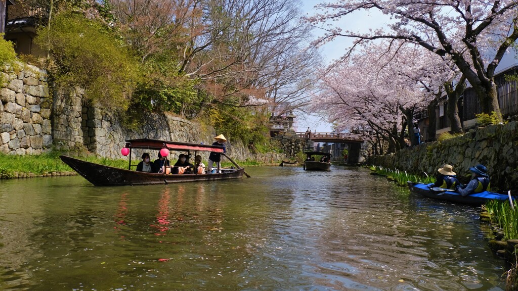 春の八幡堀散策　８