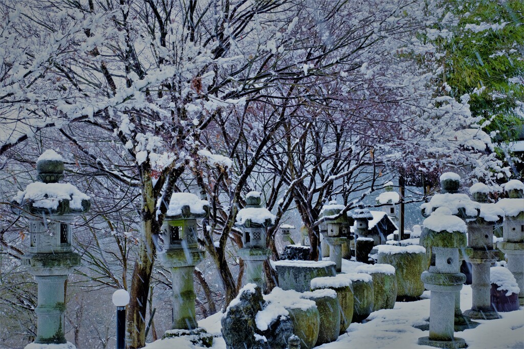 雪見　Ⅰ