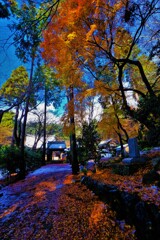 青岸寺師走山門紅葉