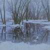 小さな森の水辺の冬物語　７