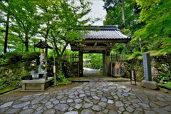 新緑の湖東三山金剛輪寺　４