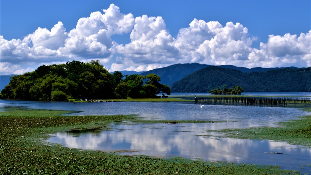 Hubei late summer