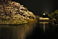 彦根城濠端夜景　２