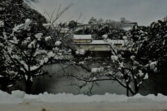 彦根城濠端雪景色　１