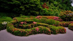 大地寺蓬莱庭園　１