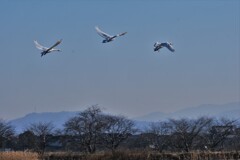 大空へ