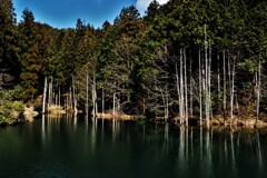 山里の無名池