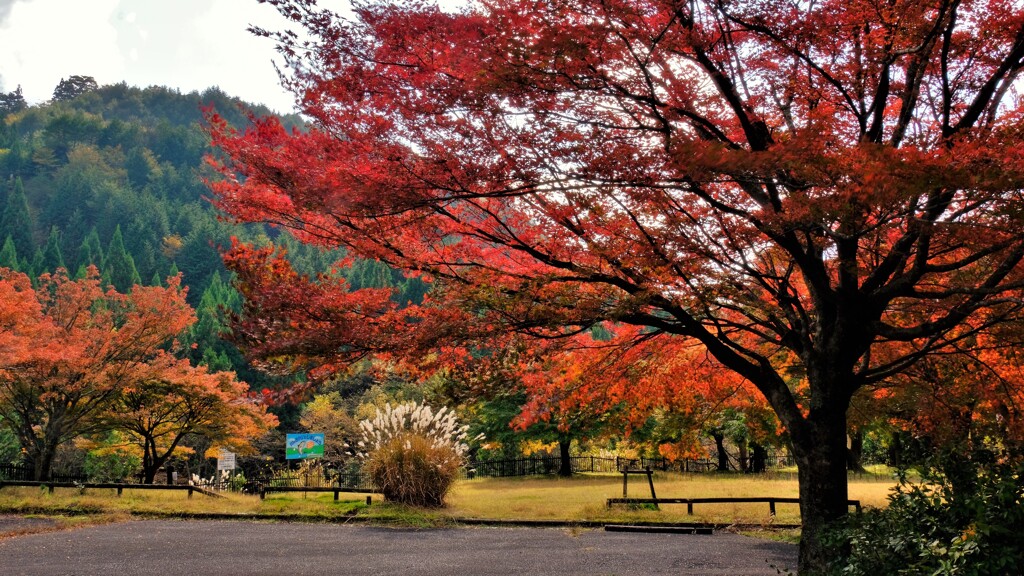 山間の秋景公園　１
