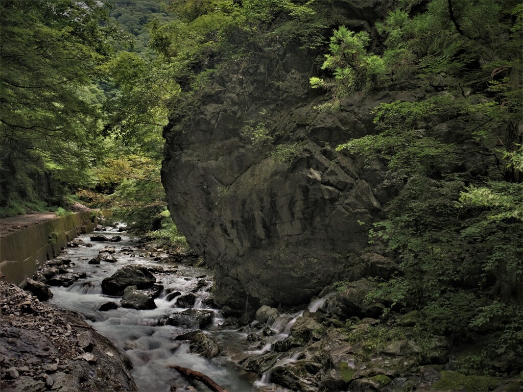 渓流の人面岩