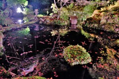 湖東三山金剛輪寺のライトアップ　１０