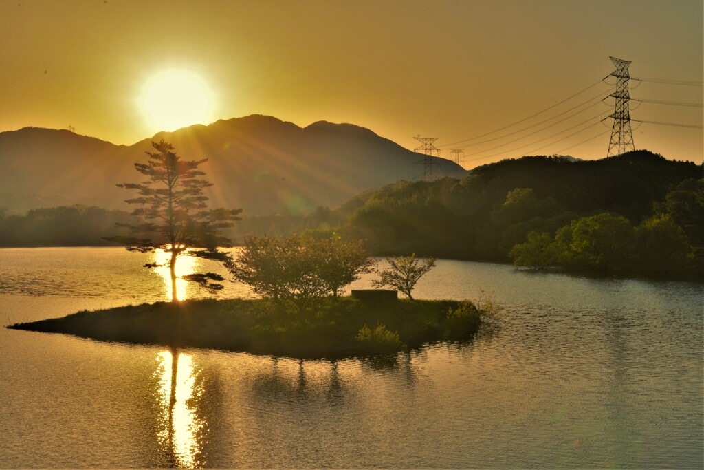 晩春の日野川ダム朝日