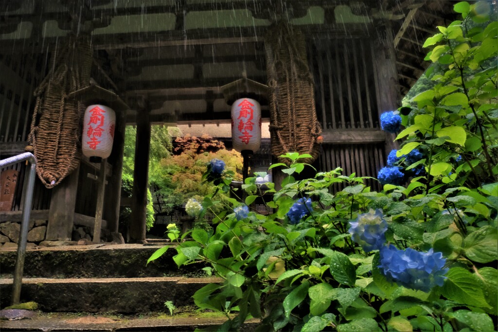 梅雨間の金剛輪寺　9