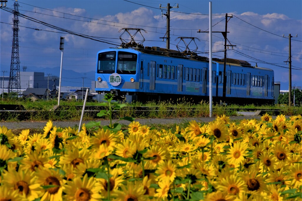ガチャコン秋景　Ⅵ
