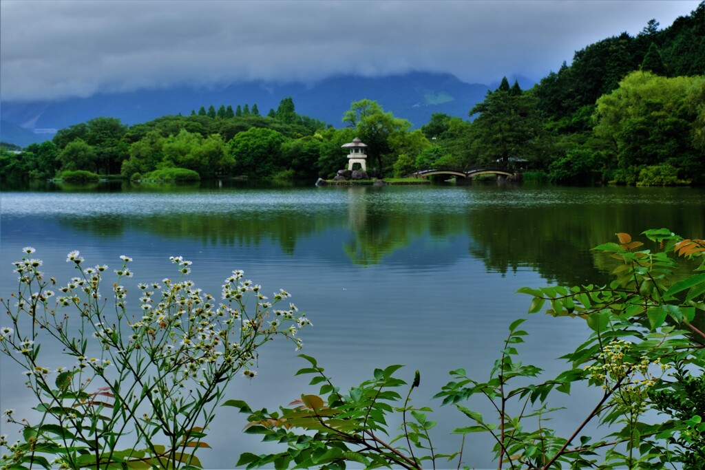 梅雨間の三島池