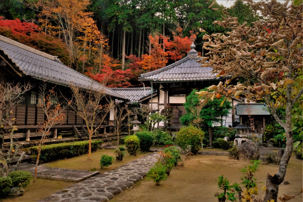 高源寺紅葉寸景　５