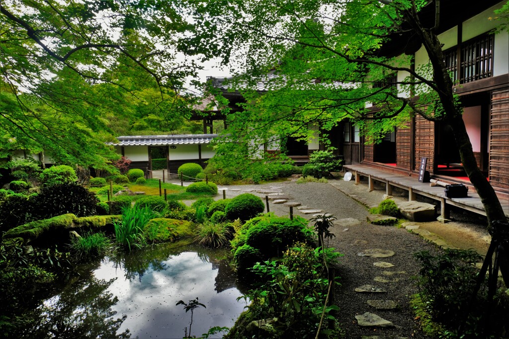 新緑の湖東三山金剛輪寺　6
