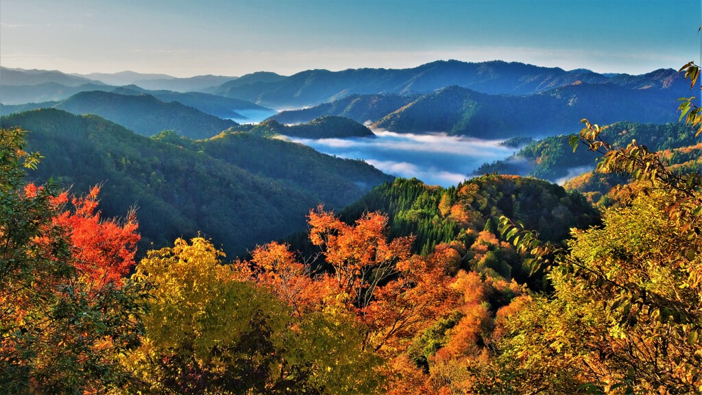 晩秋の小入峠雲海