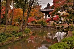 日吉神社(円満寺)神池の紅葉
