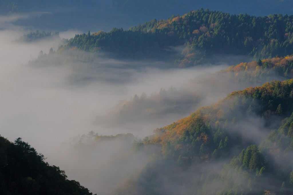 晩秋の小入谷雲海　２