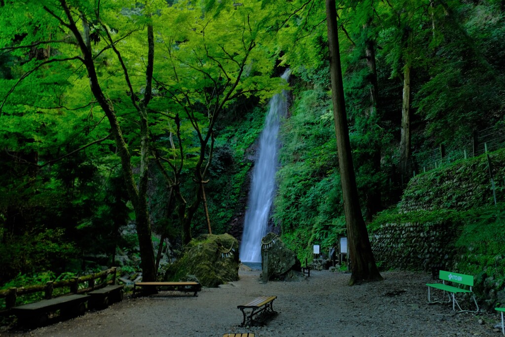 養老の滝