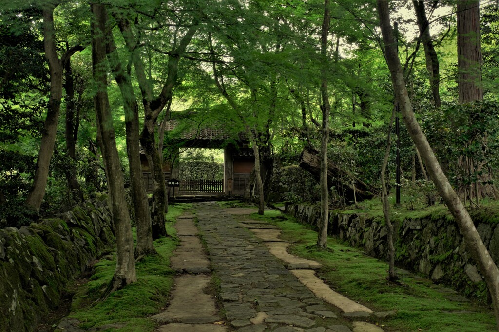 新緑の湖東三山金剛輪寺　３