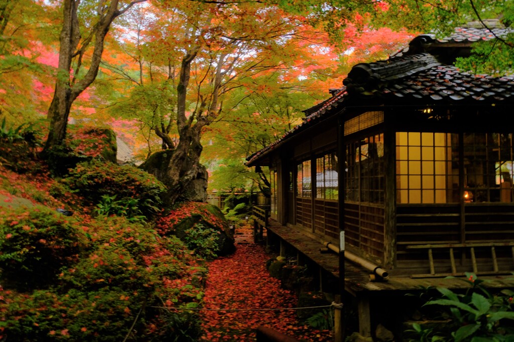 石の寺「教林坊」紅葉　４