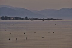 琵琶湖湖西の朝景