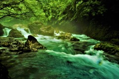 芹川渓流