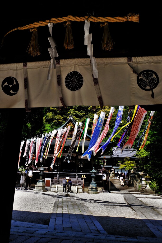 日牟禮八幡宮こいのぼり　Ⅰ