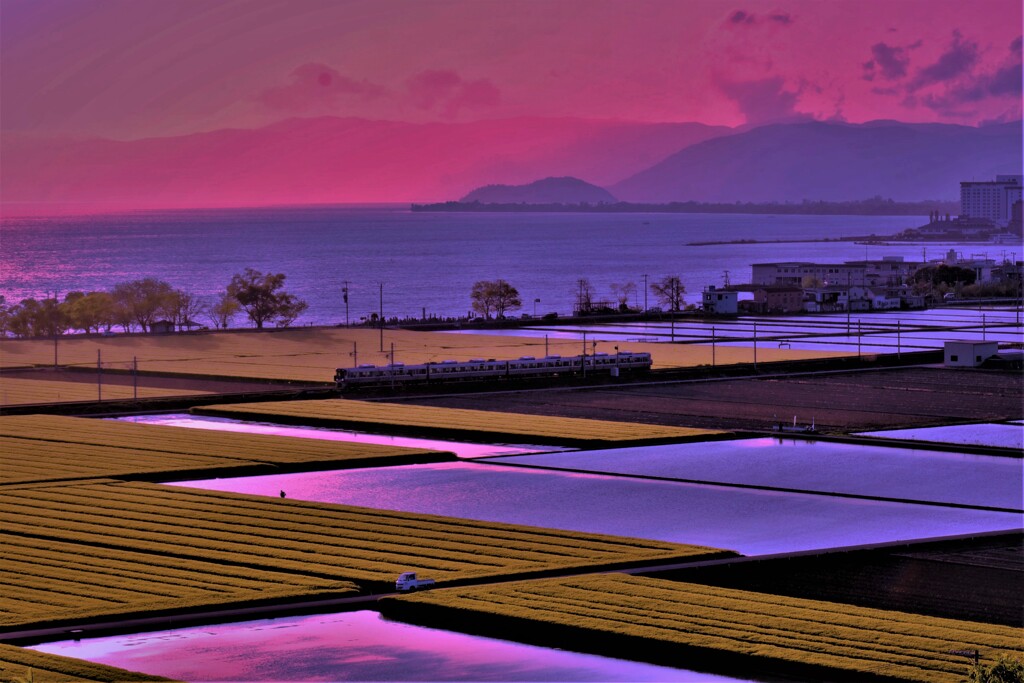 湖辺の夕代田　１
