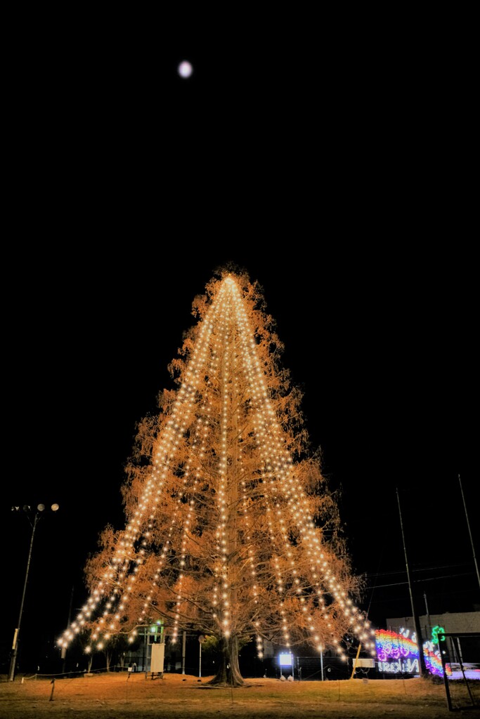 ふれあいの灯り・クリスマスツリー　Ⅱ