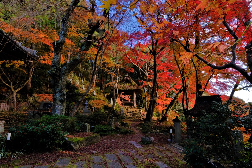 延寿寺残り紅葉　４