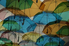 花傘