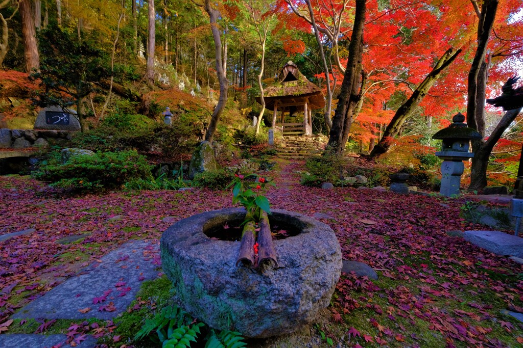 延寿寺残り紅葉　５