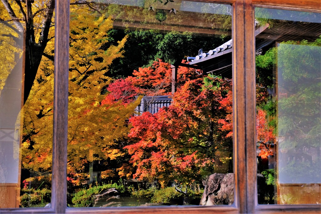 東光寺紅葉　９