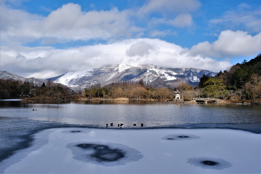 薄氷の三島池　８