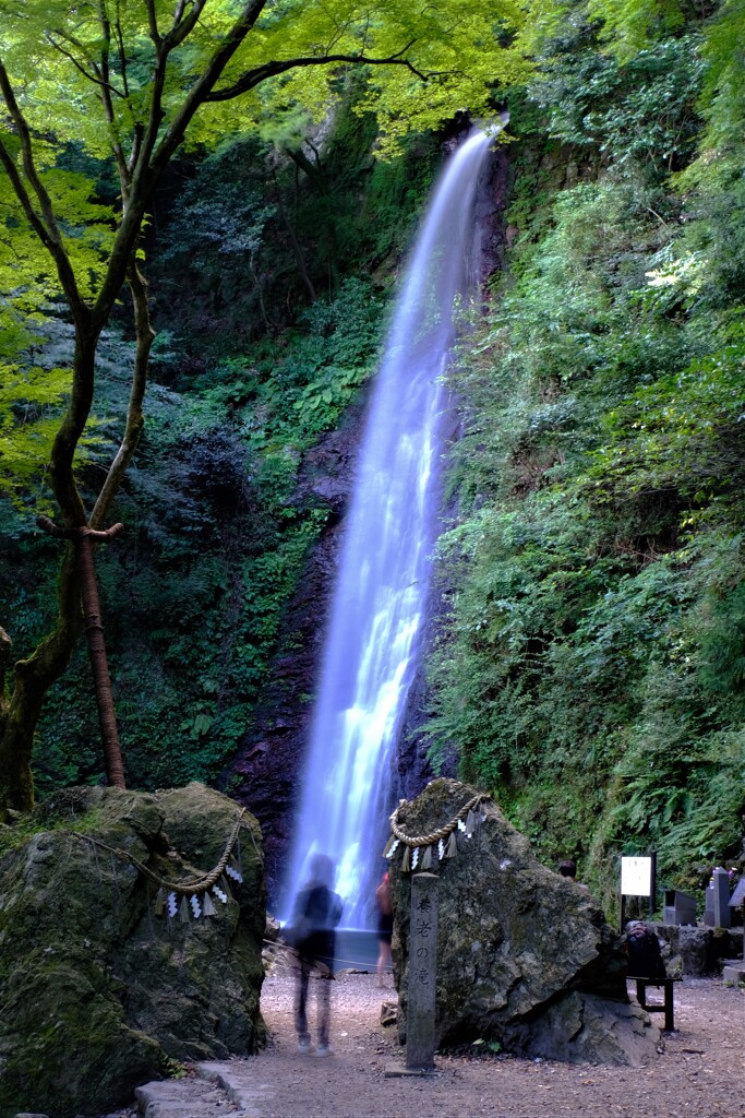 陰影