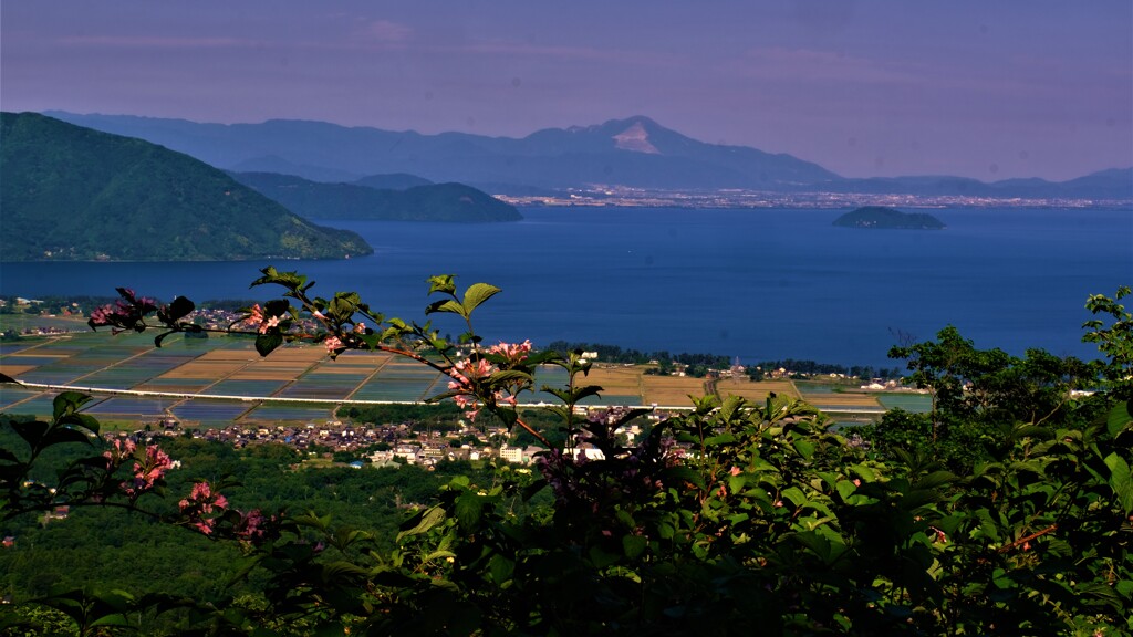 夏めく奥琵琶湖