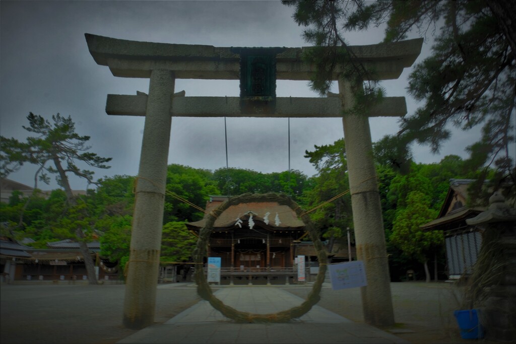 水無月の長浜八幡宮　１