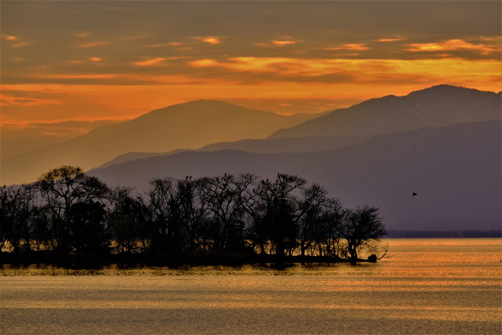 冬夕景