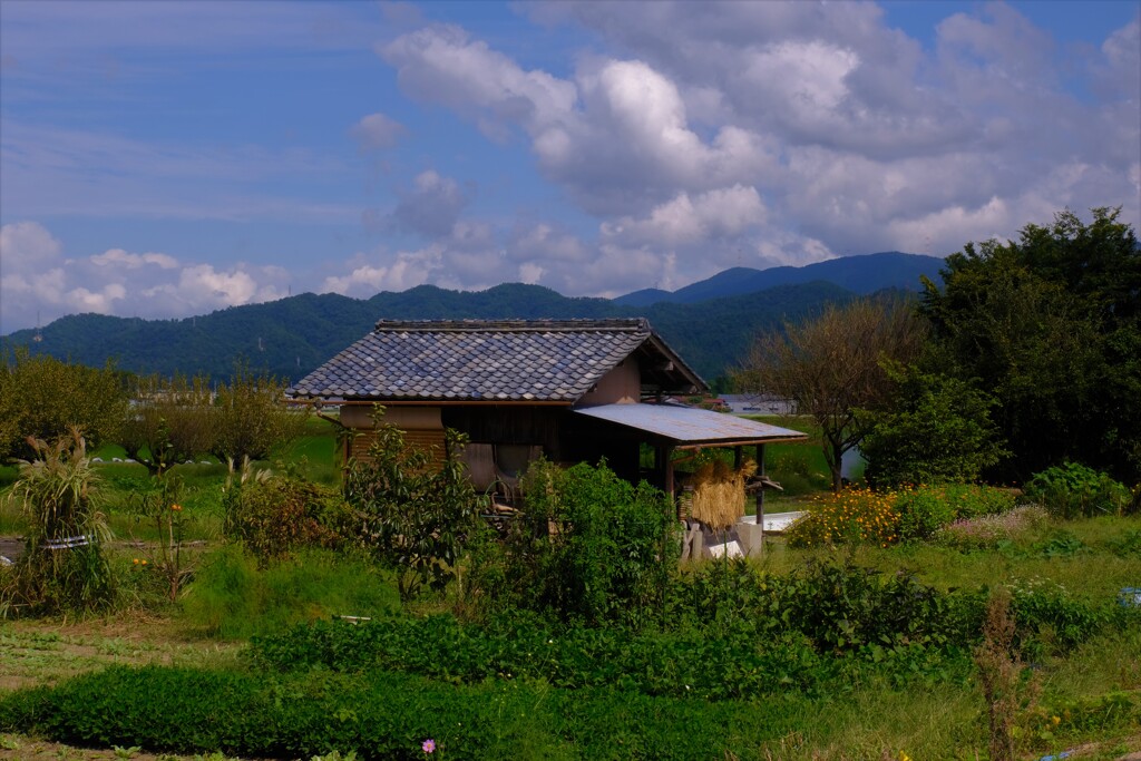 農作業小屋